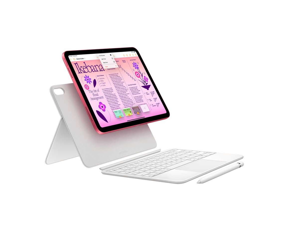 Apple iPad 10.9 Wifi + Cellular 256 GB Rosa