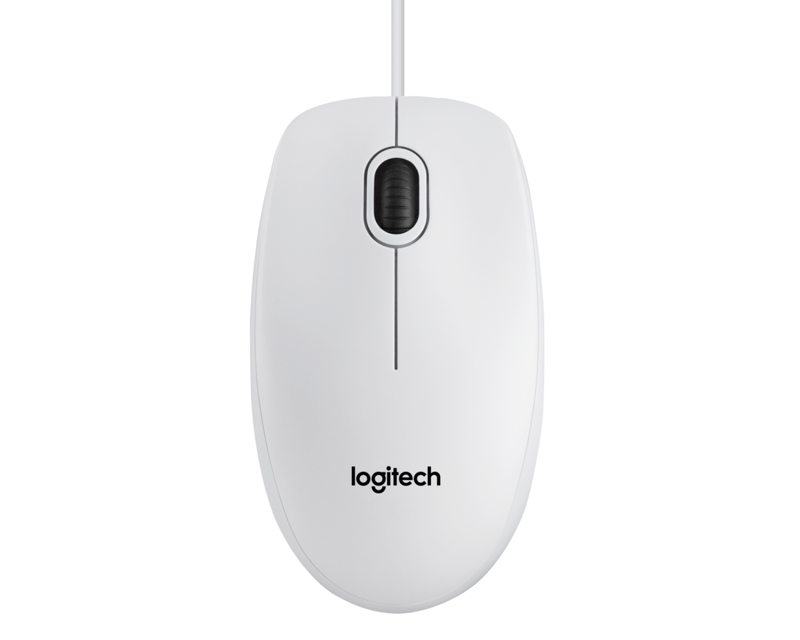 Logitech B100