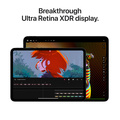 Apple iPad Pro 13 (2024) Wi-Fi + Cellular 256GB med Standardglas - Rymdsvart