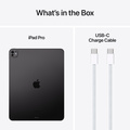 Apple iPad Pro 13 (2024) Wi-Fi + Cellular 256GB med Standardglas - Rymdsvart