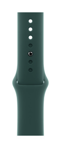 Apple Watch 42mm Blågrön Sportband M/L