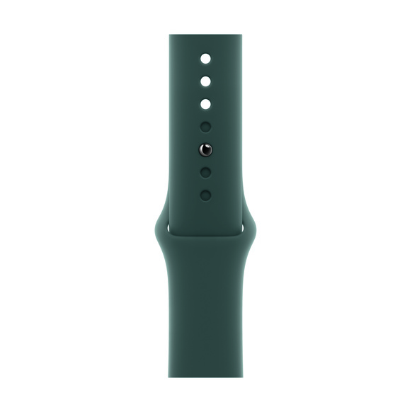 Apple Watch 42mm Blågrön Sportband