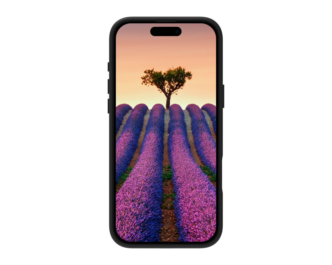 dbramante Roskilde iPhone 17 Pro Max Svart