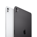 iPad Pro M5 13 tum Rymdsvart 256 GB Standardglas Wi-Fi